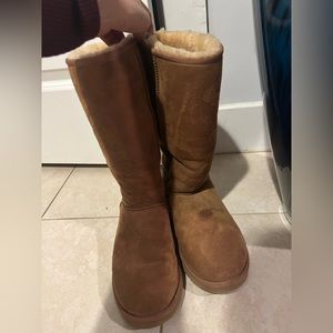 Tall Chestnut Uggs